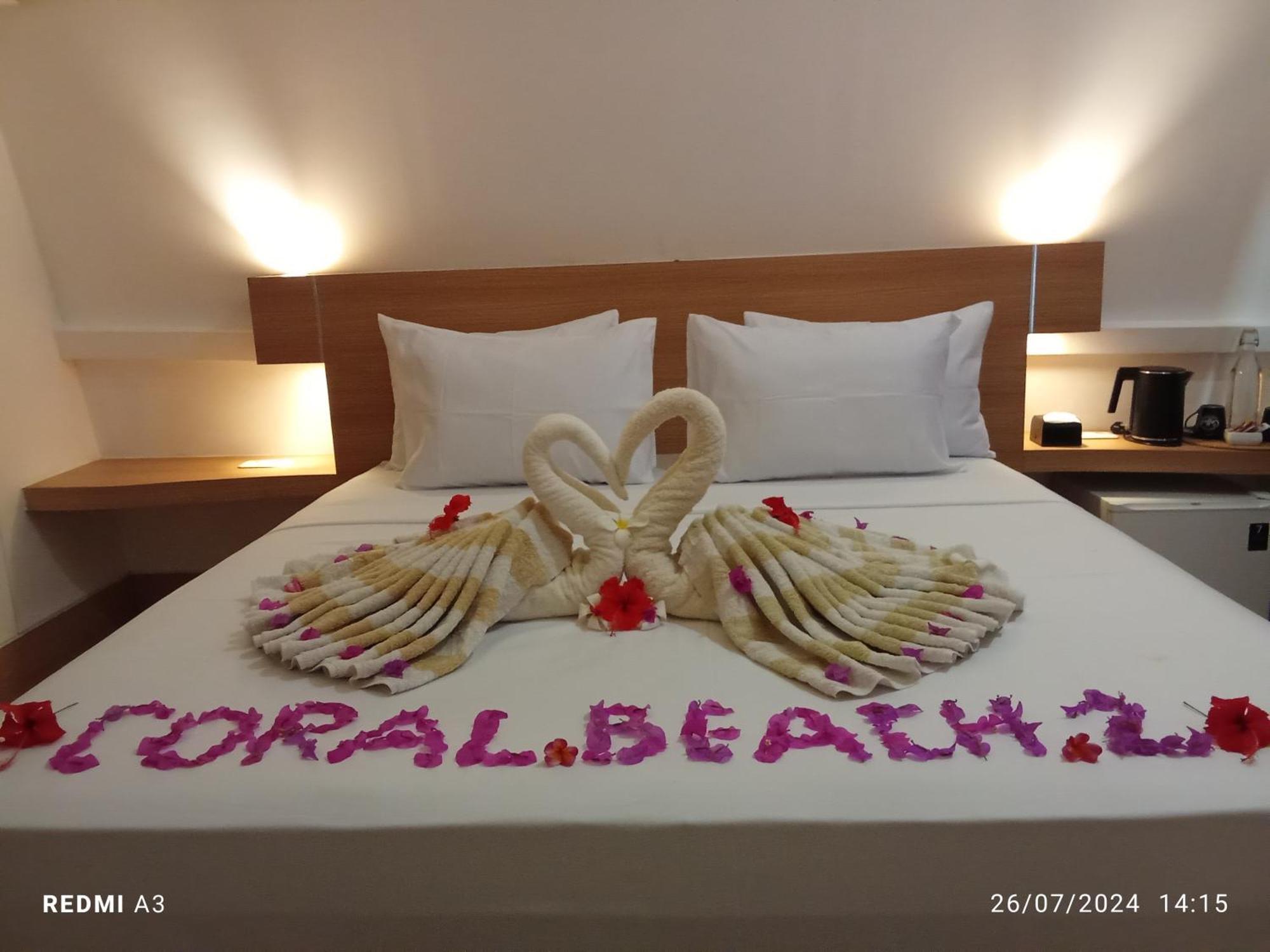 Coral 2 2*